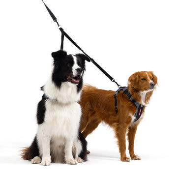 akc double dog leash HandleX2 Dual Handle Dog Leash main image 0