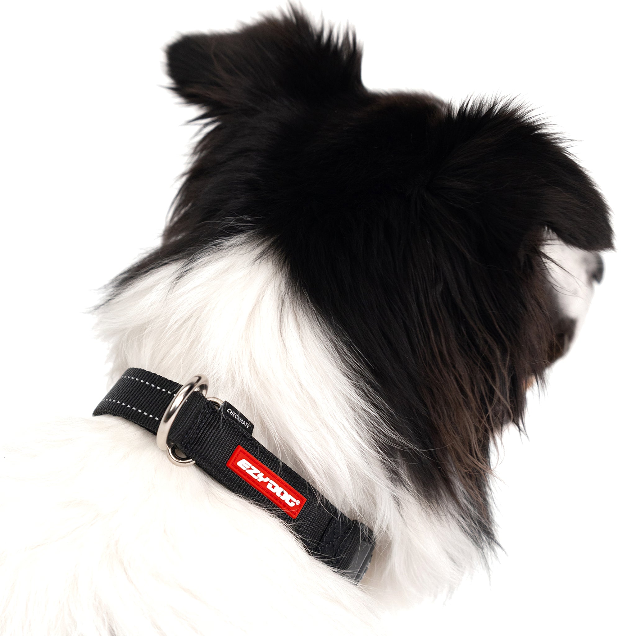 Checkmate™ Collar