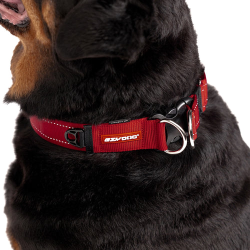 Red dog collar on a black dog.