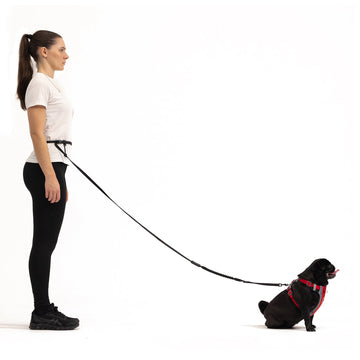 Hands Free Dog Leash for Running Road Runner Leash