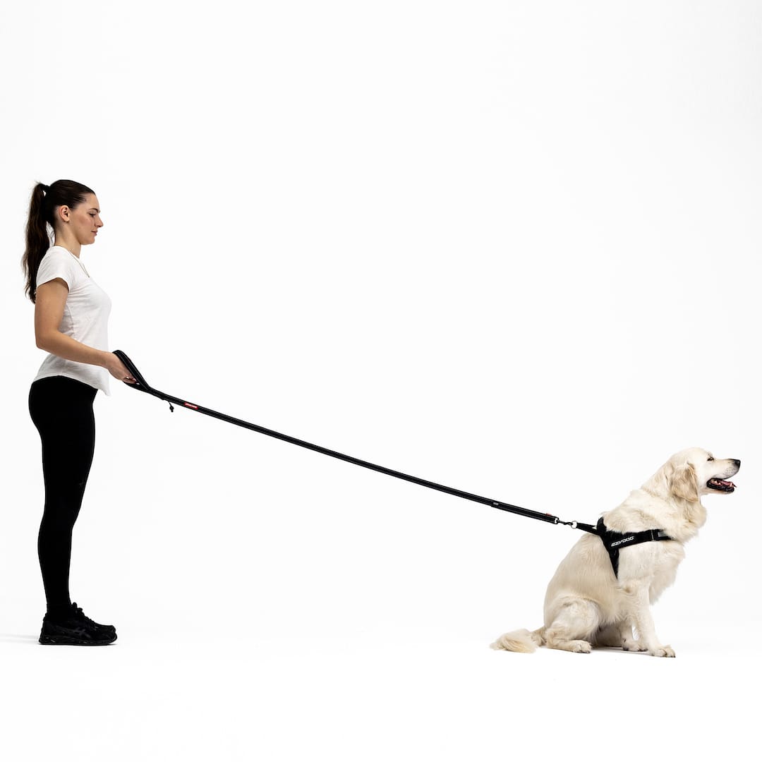 Soft Trainer™ Leash