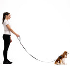 Soft Trainer™ Leash