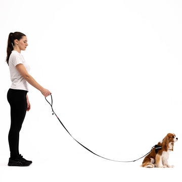 Dog Training Leash Double Handle Dog Leash