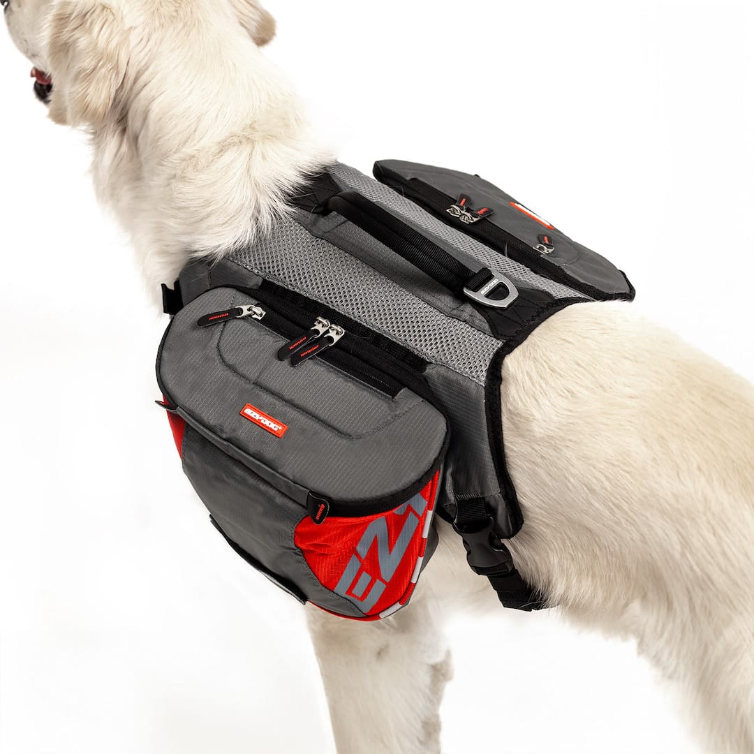 Summit Dog™ Backpack