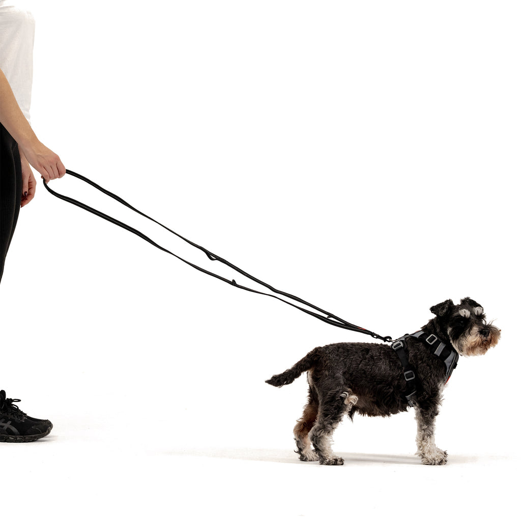 Multifunction Leash Multi Function Dog Leash | Snap Hook Dog Leash – EzyDog USA
