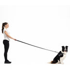 Woman holding a dog leash with a dog sitting on a white background