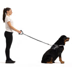 Woman walking a dog on a leash with a visible brand logo on a white background
