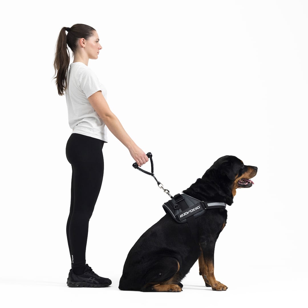 Mongrel™ Leash