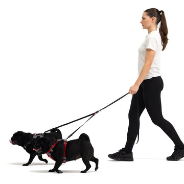 Dog Leash Coupler