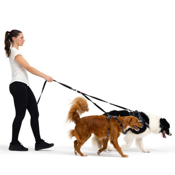 Dog Coupler Double Lead For Walking Two Dogs Kruz Double Dog