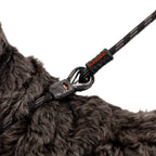 Luca™ Leash