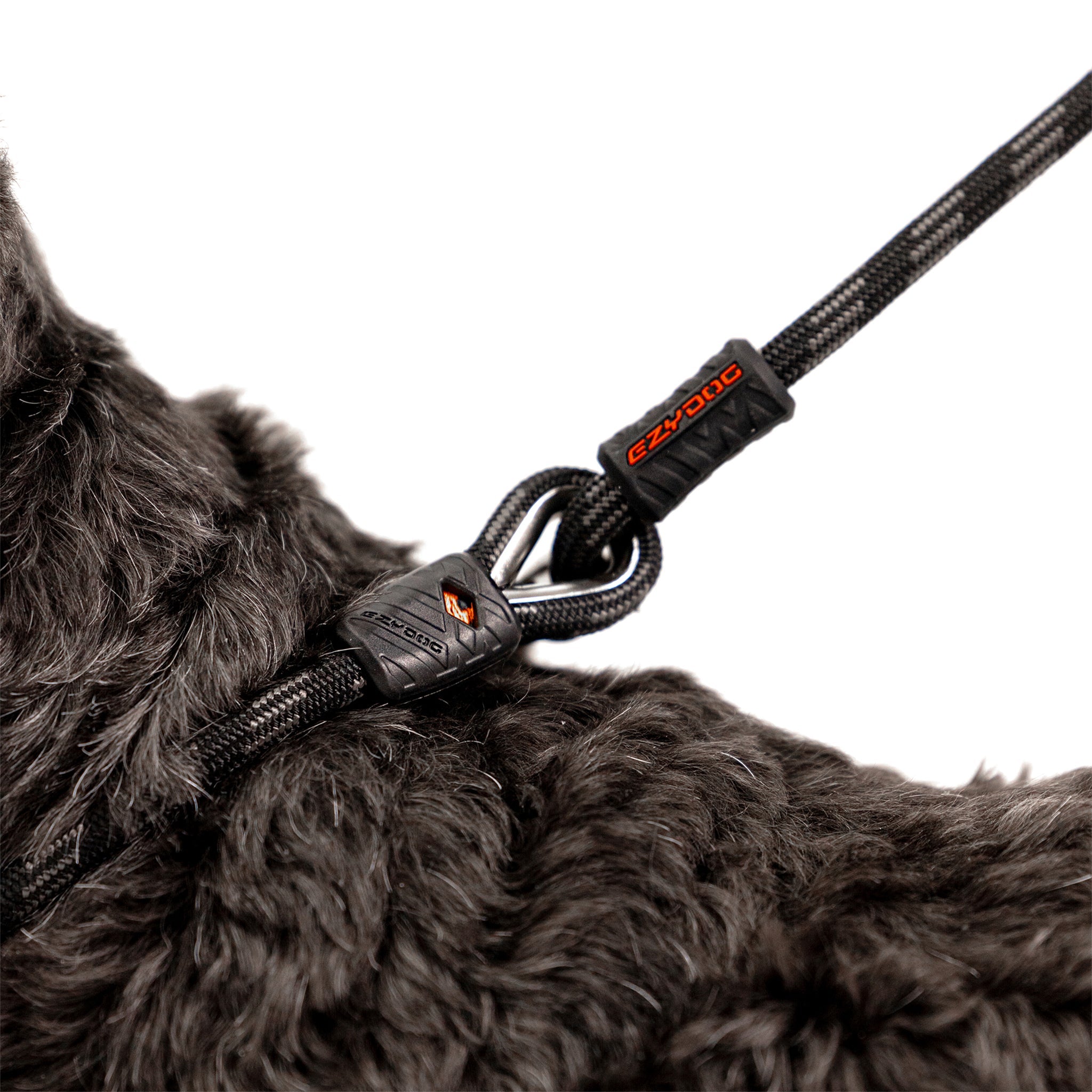 Luca™ Leash
