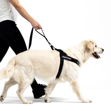 Soft Trainer Leash