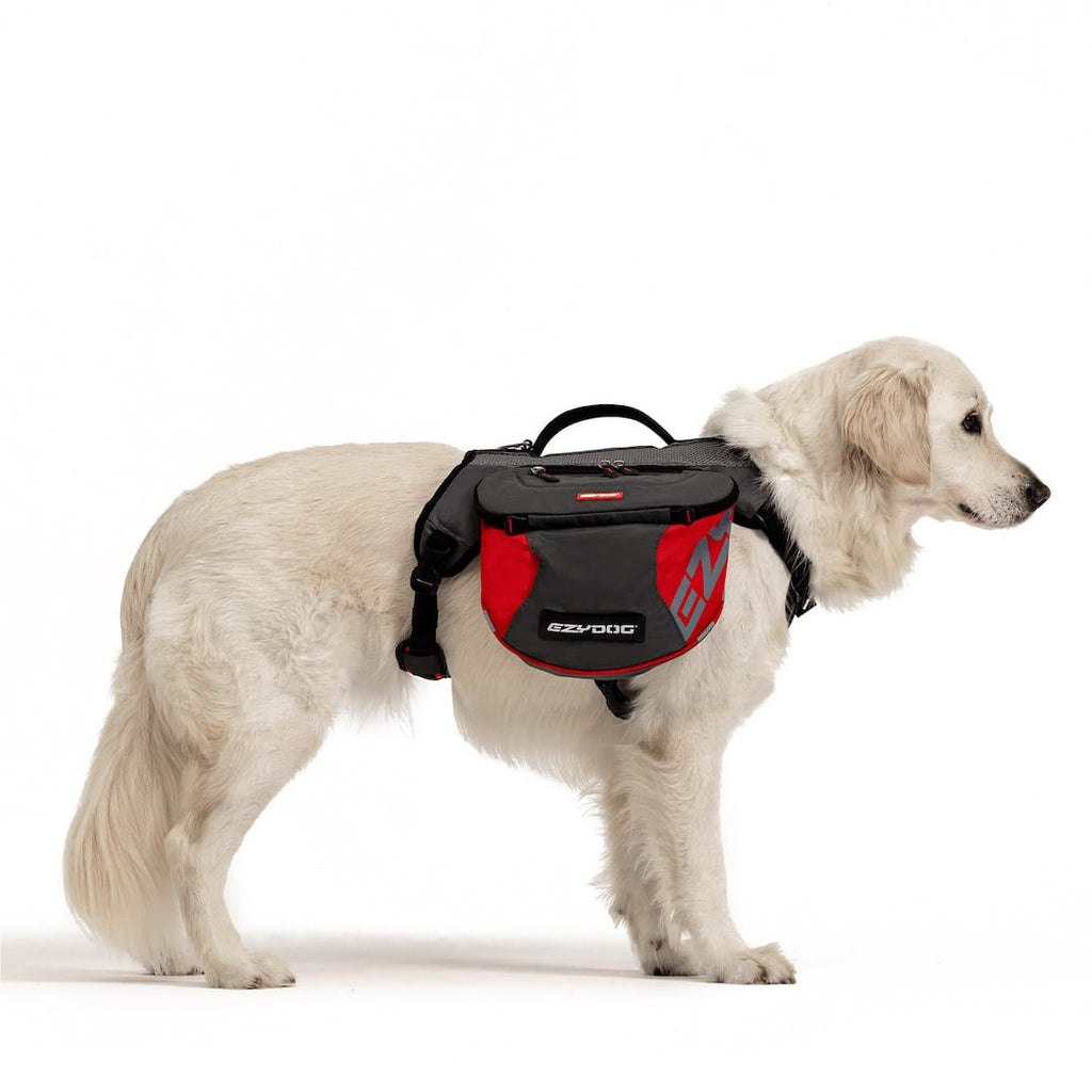 Dog wearing a black and red backpack with branding on a white background