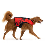 Dog wearing red DFD X2 Boost Life Jacket