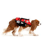 dog wearing and walking in red Micro DFD life jacket 