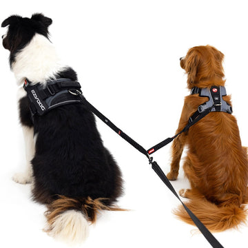 Two Dog Leash Shock Absorbing Dog Leash - Main Image