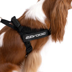 Express™ Dog Harness