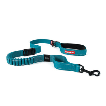 Bungee Dog Leash Zero Shock Leash for All Breeds Sizes