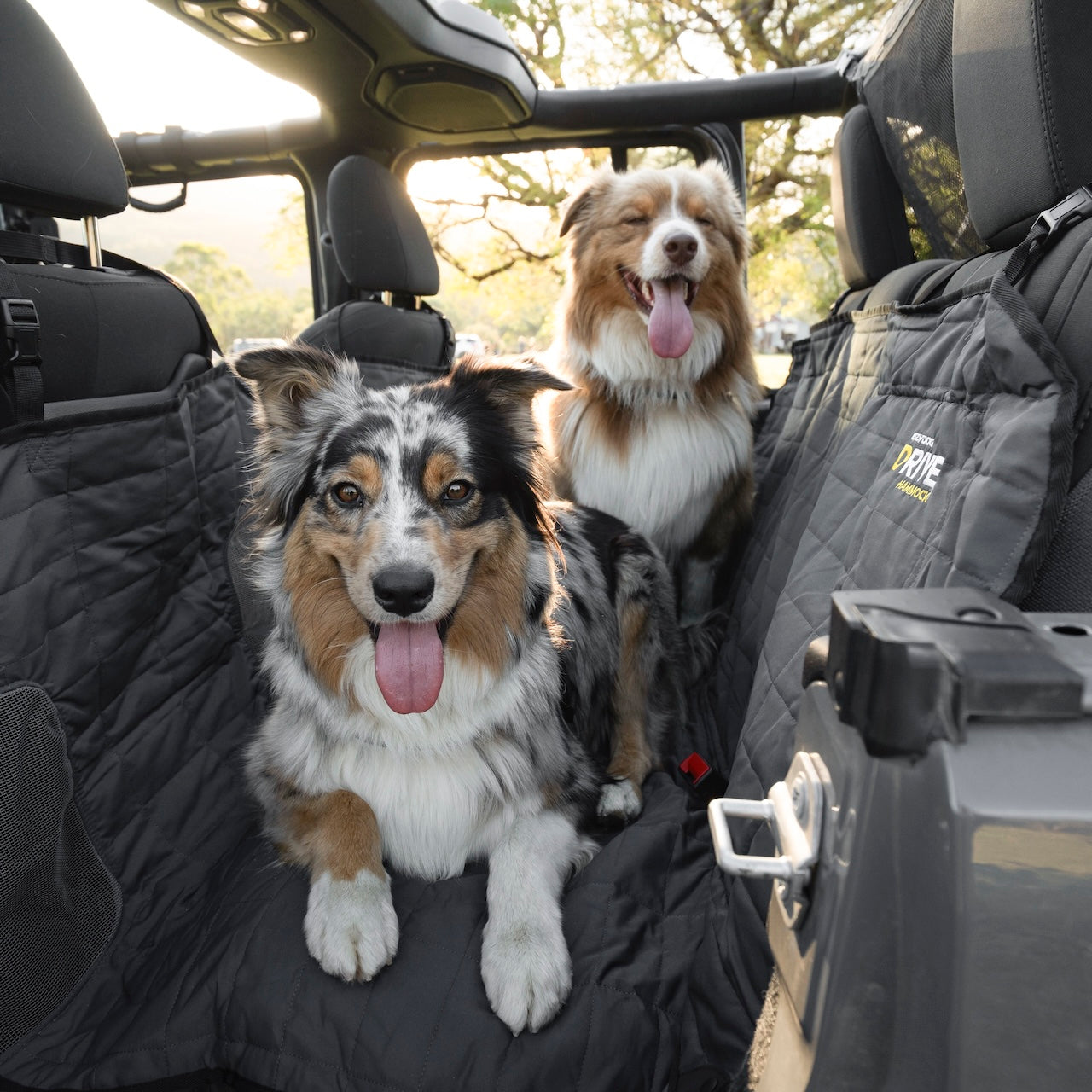Two dogs sitting in a car with a black pet seat cover.