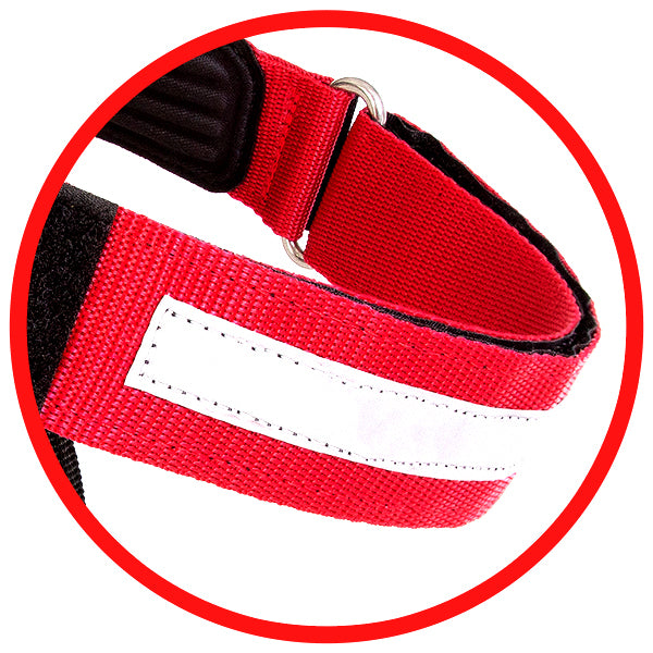 Close-up of a red dog collar with a white label on a white background
