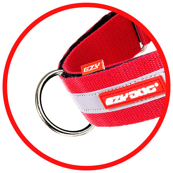 Red collar with 'EZY' branding on a white background