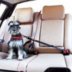 Click™ Adjustable Car Restraint