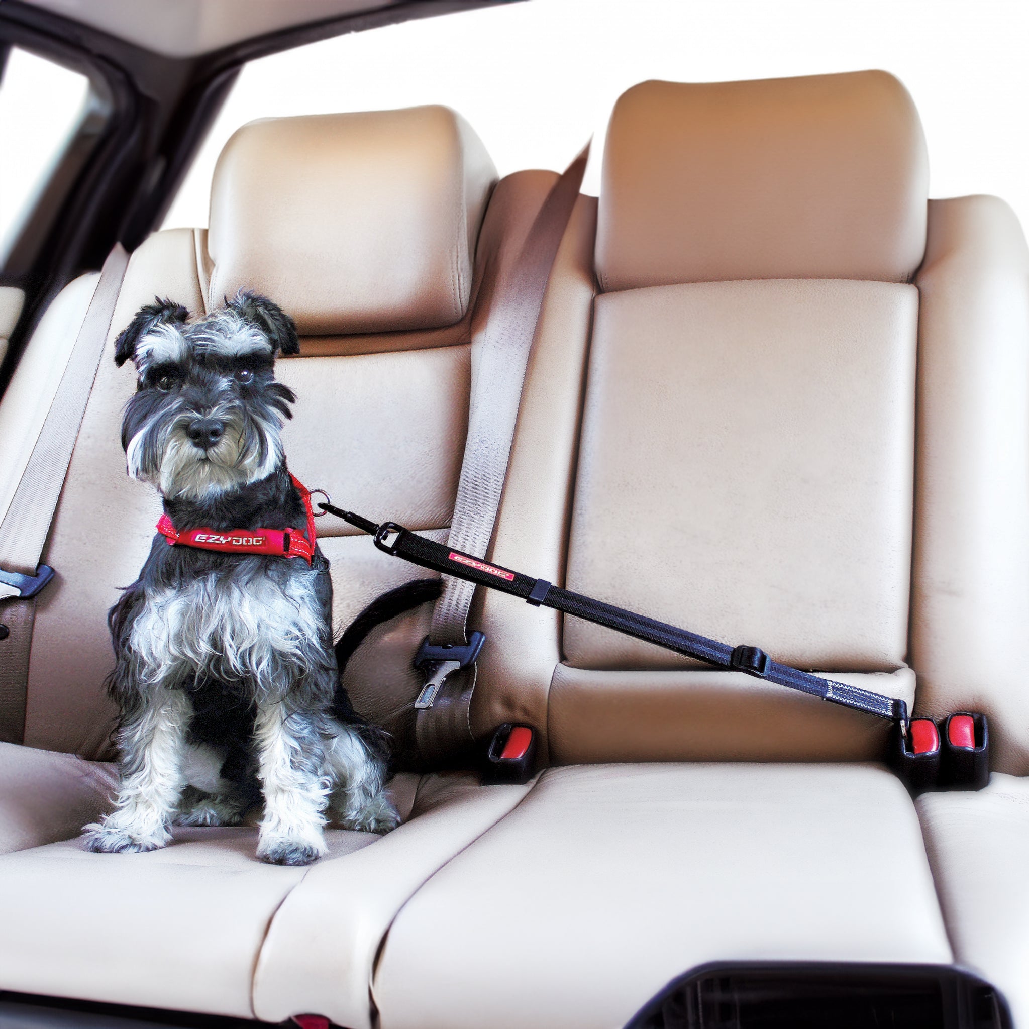 Click™ Adjustable Car Restraint