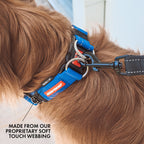 Double Up™ Collar