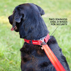 Double Up™ Collar