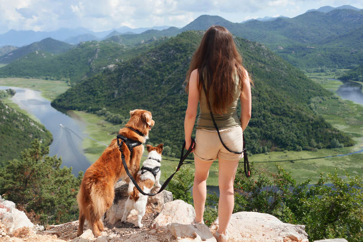 Woman with two dogs overlooking a scenic landscape with mountains and a river.