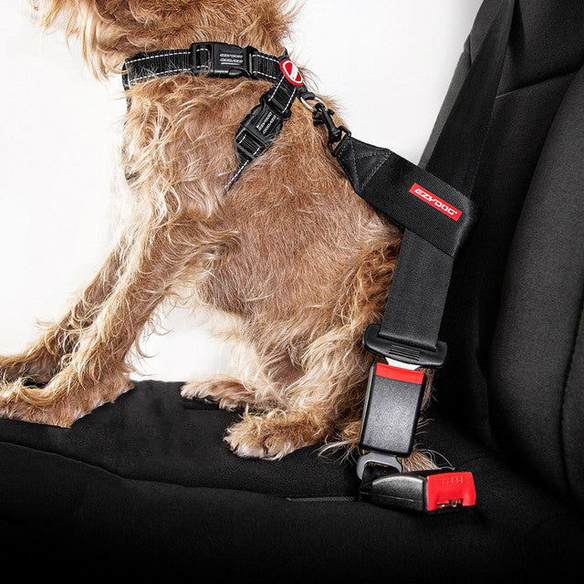 Seat Belt Restraint