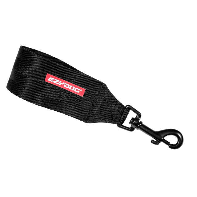 Seat Belt Restraint