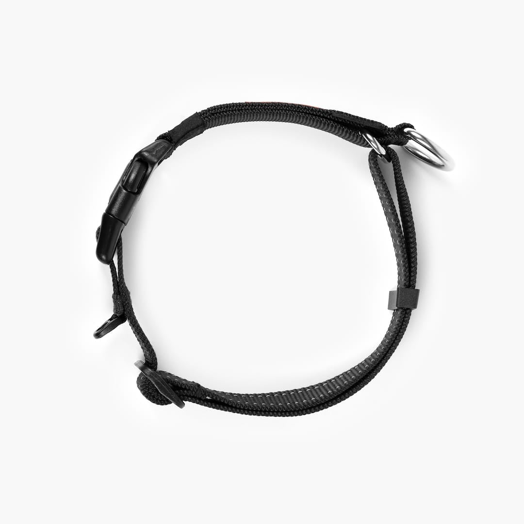 Checkmate™ Collar