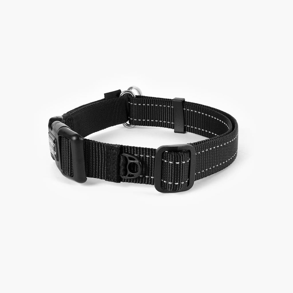 Back view of a black checkmate collar in white background