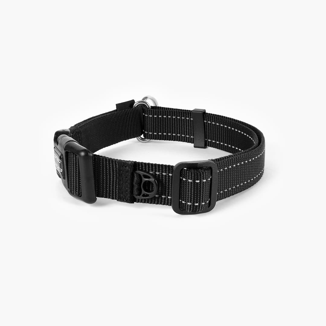Back view of a black checkmate collar in white background