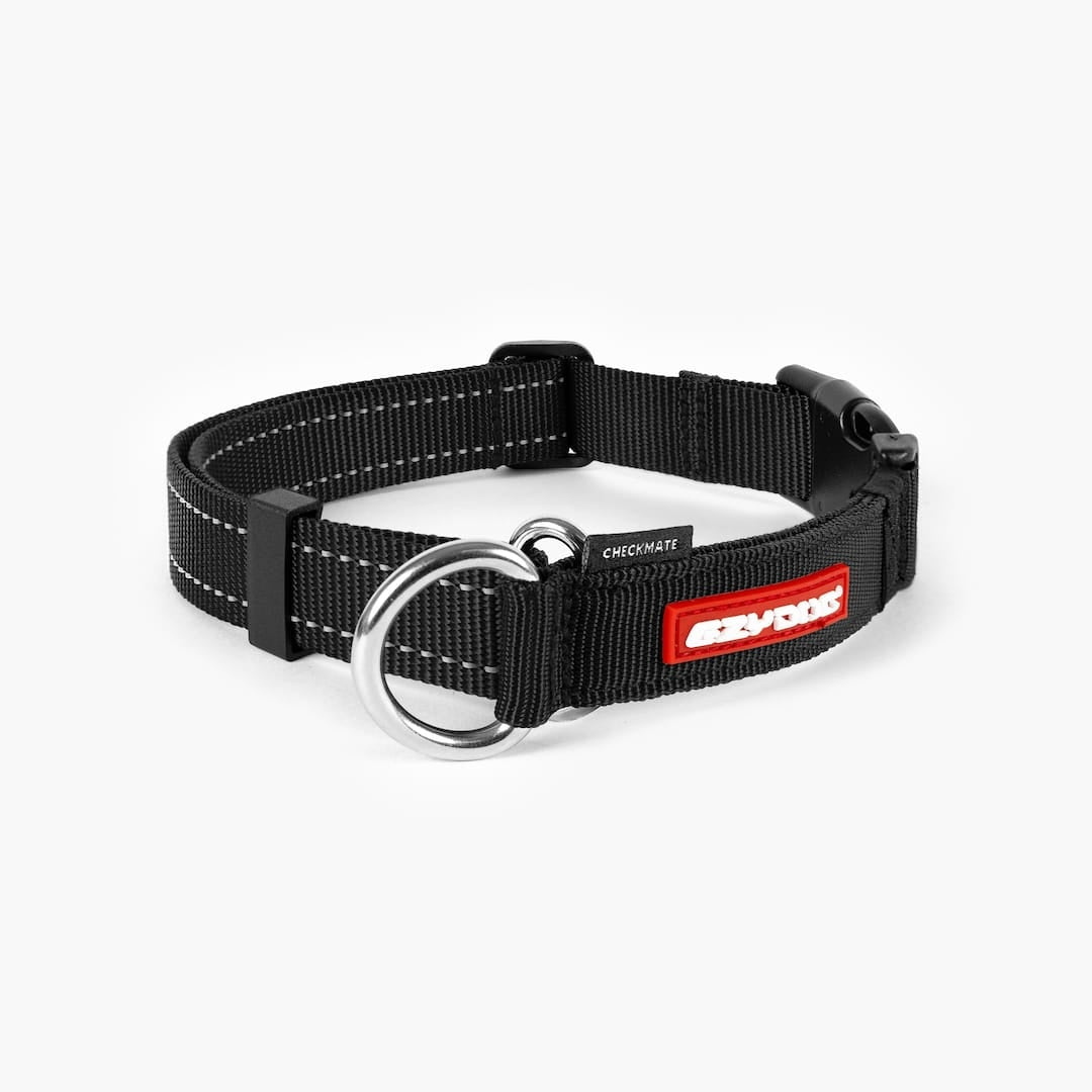 Front view of black checkmate collar in white background