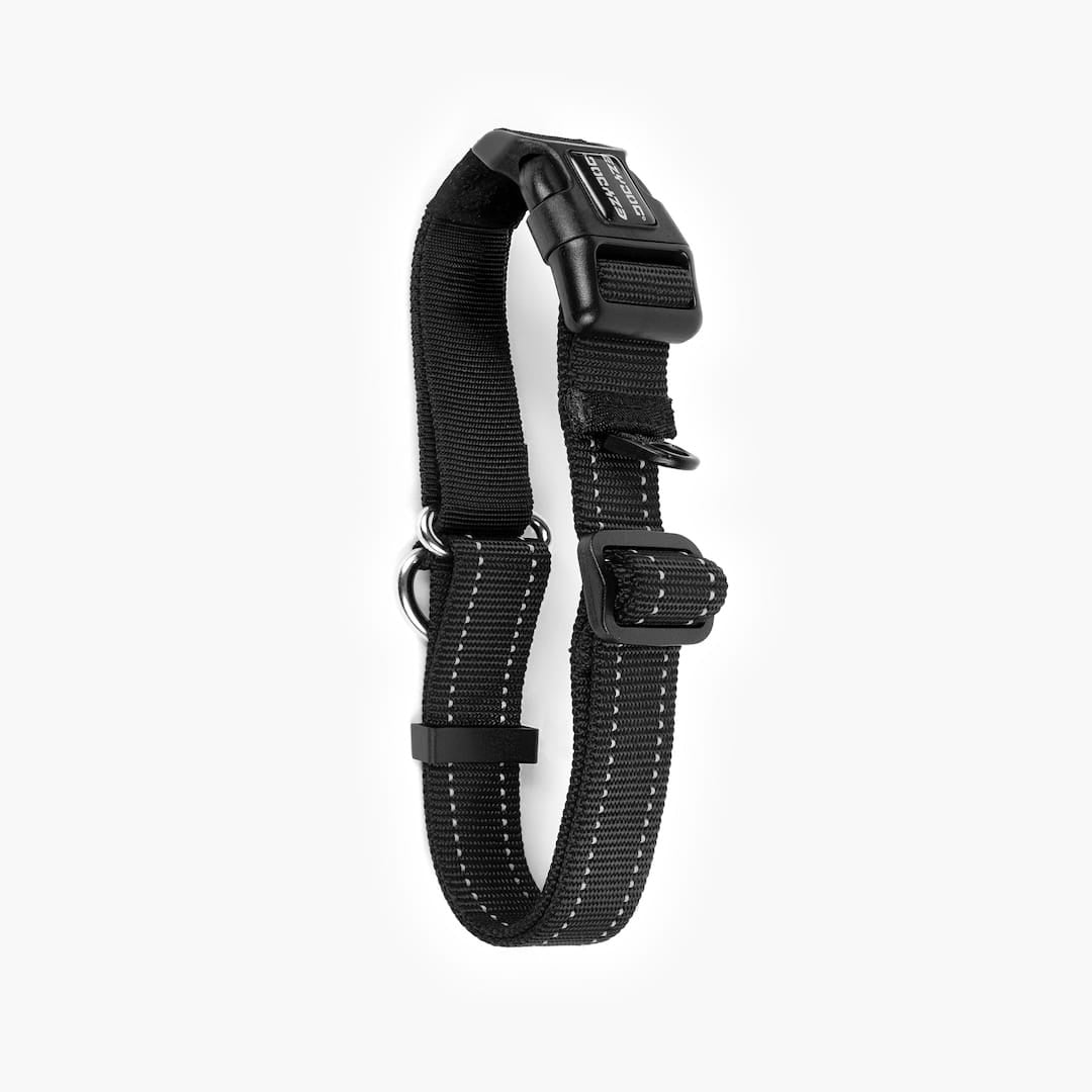 Back view of black checkmate collar in white background