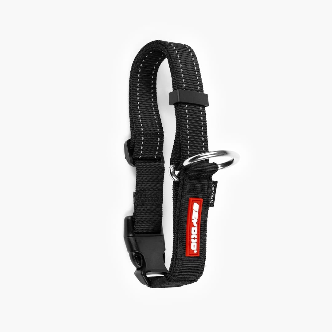 Horizontal front view of black checkmate collar in white background