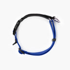 Top view of a blue checkmate collar in white background