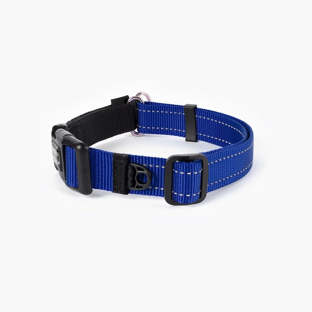 Back view of a blue checkmate collar in white background