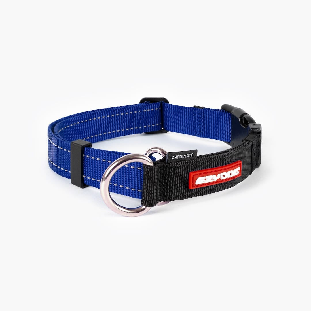 Checkmate™ Collar