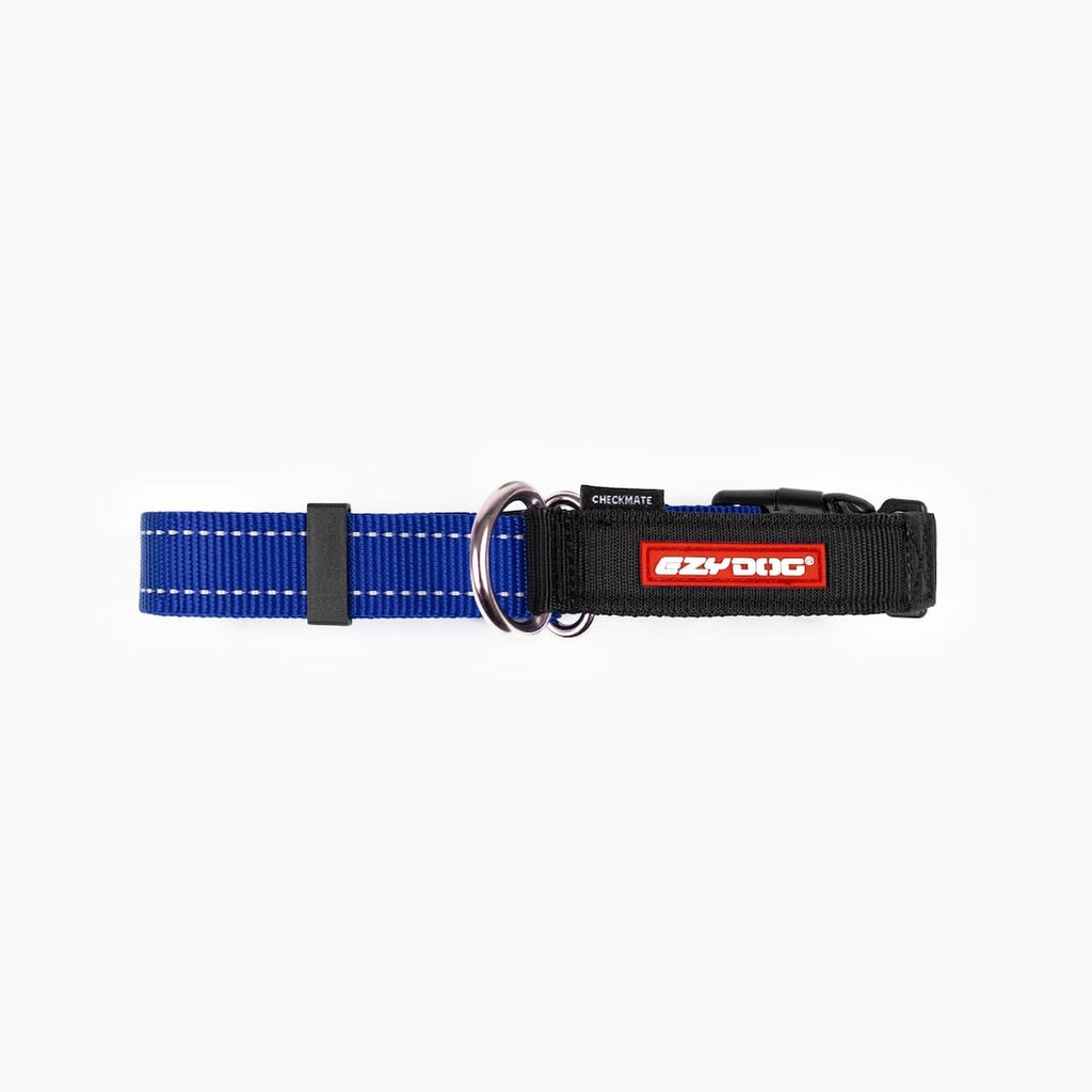 Front view of blue checkmate collar in white background
