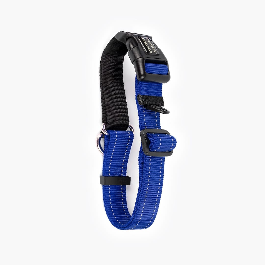 Horizontal back view of a blue checkmate collar in white background