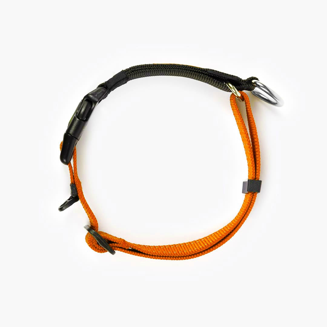 Top view of an orange checkmate collar in a white background