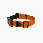 Back angel of an orange checkmate collar in a white background