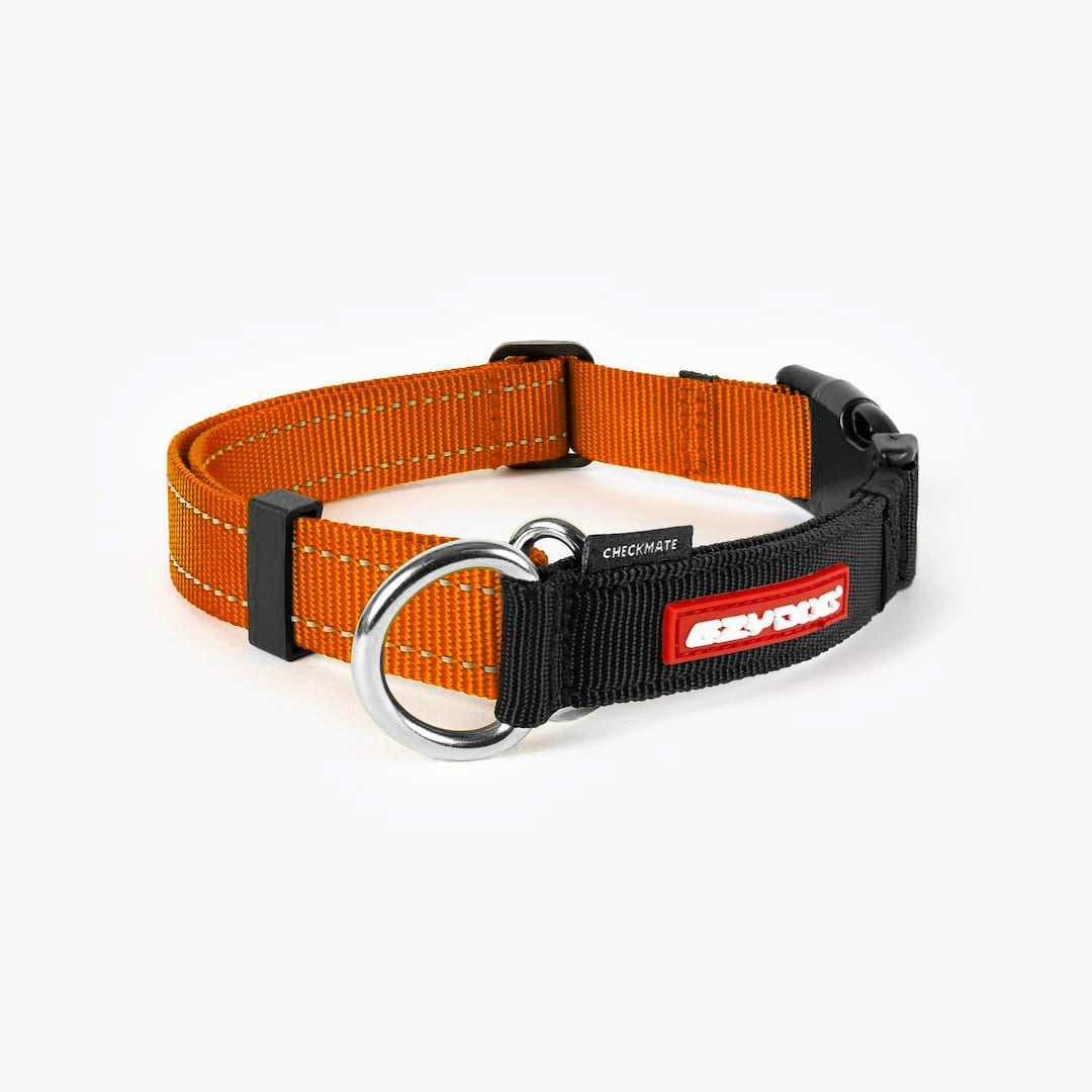 Front angel of an orange checkmate collar in a white background