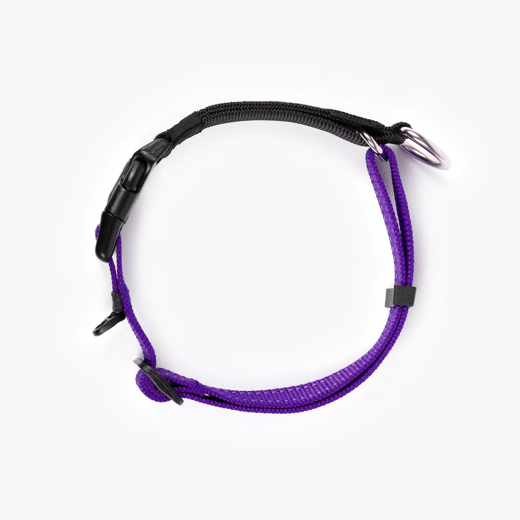 View from top of a purple checkmate collar in a white background