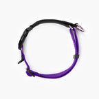 View from top of a purple checkmate collar in a white background