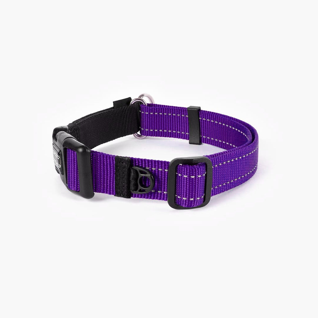 Back view of purple checkmate collar in white background